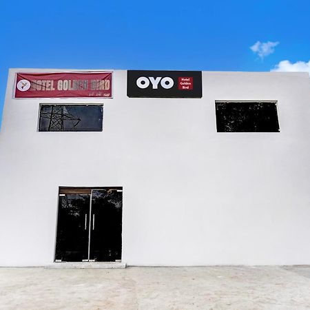 Hotel O Golden Bird نويدا المظهر الخارجي الصورة